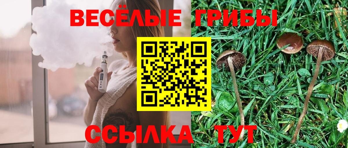 Набережные Челны  Галлюциногенные грибы Psilocybe  Вход с VPN 